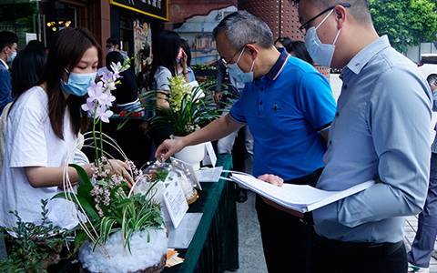 尊龙凯时园林园艺康养盆栽竞赛圆满举办，现场精彩缤纷~